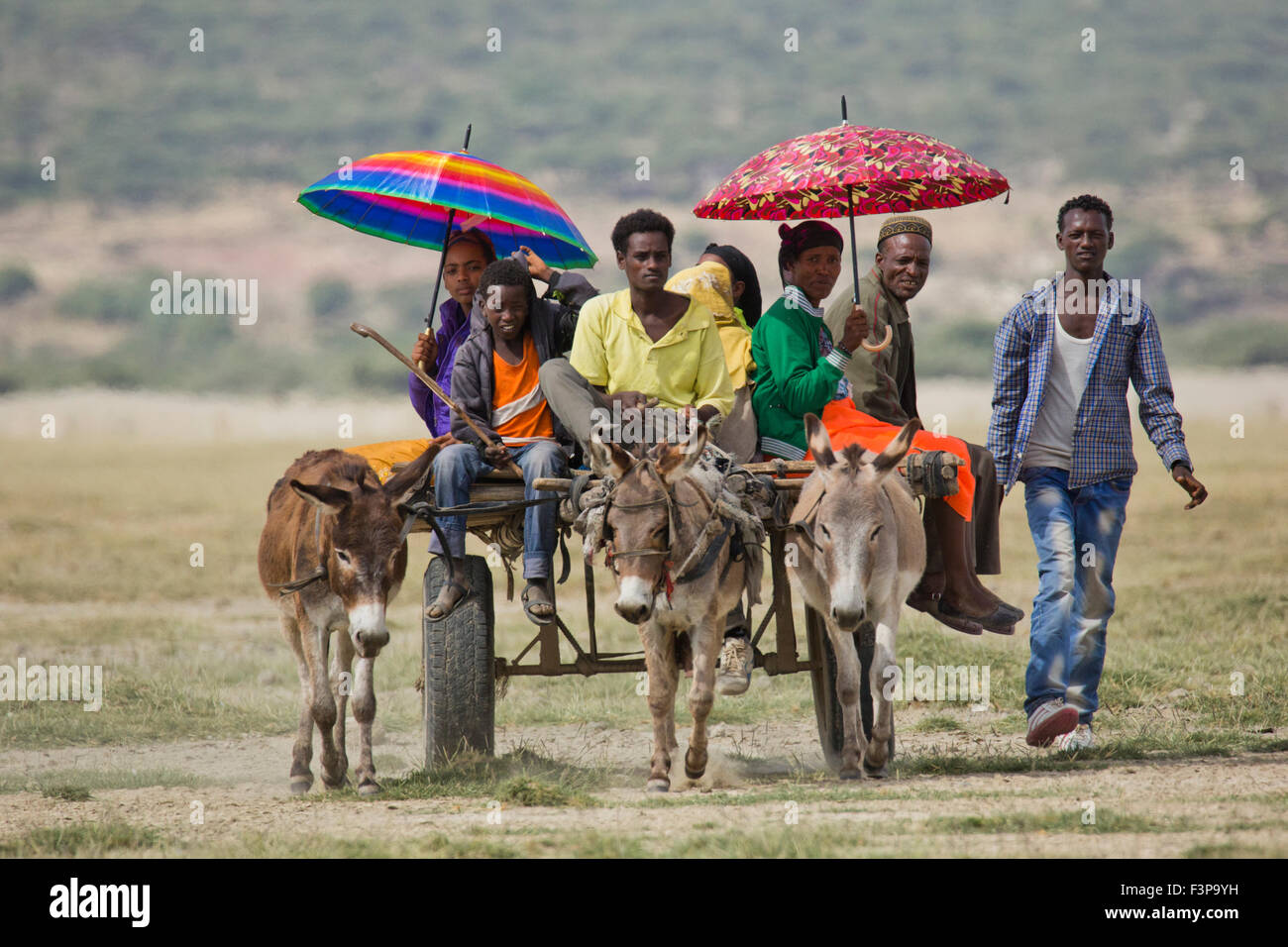 Asini e carrello, Abijatta-Shalla National Park, Etiopia Foto Stock