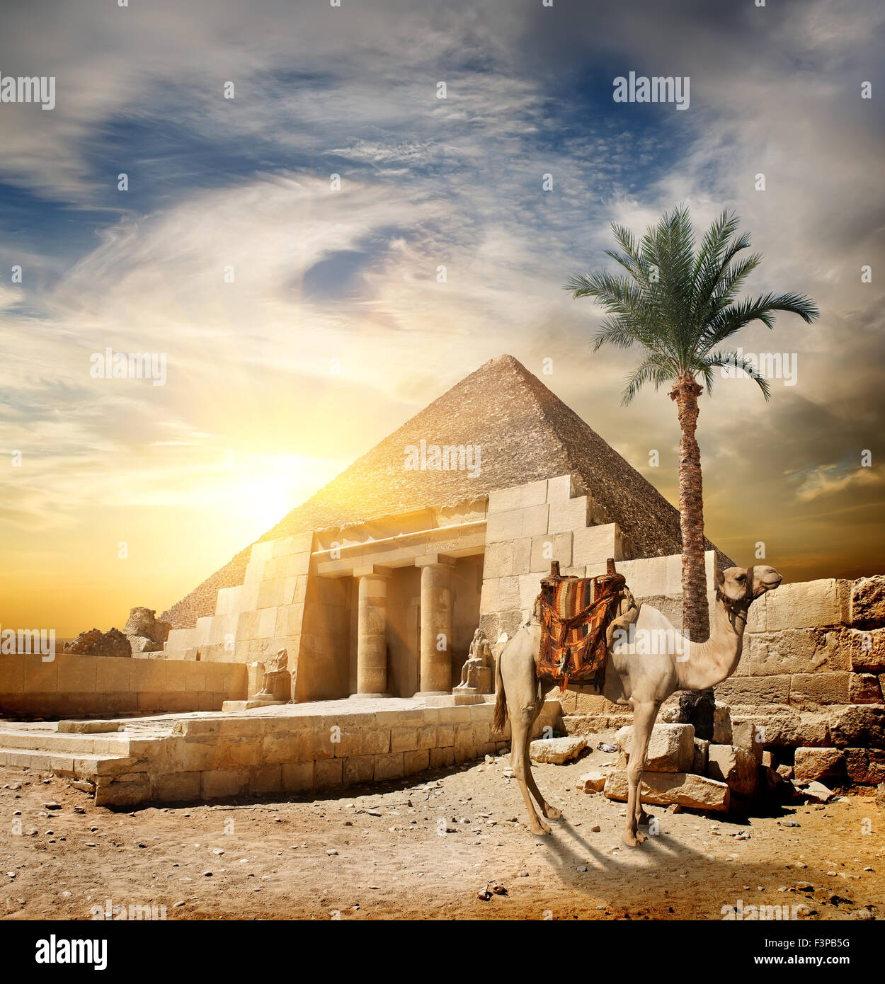 Tramonto sulla piramide e cammello nel deserto Foto Stock