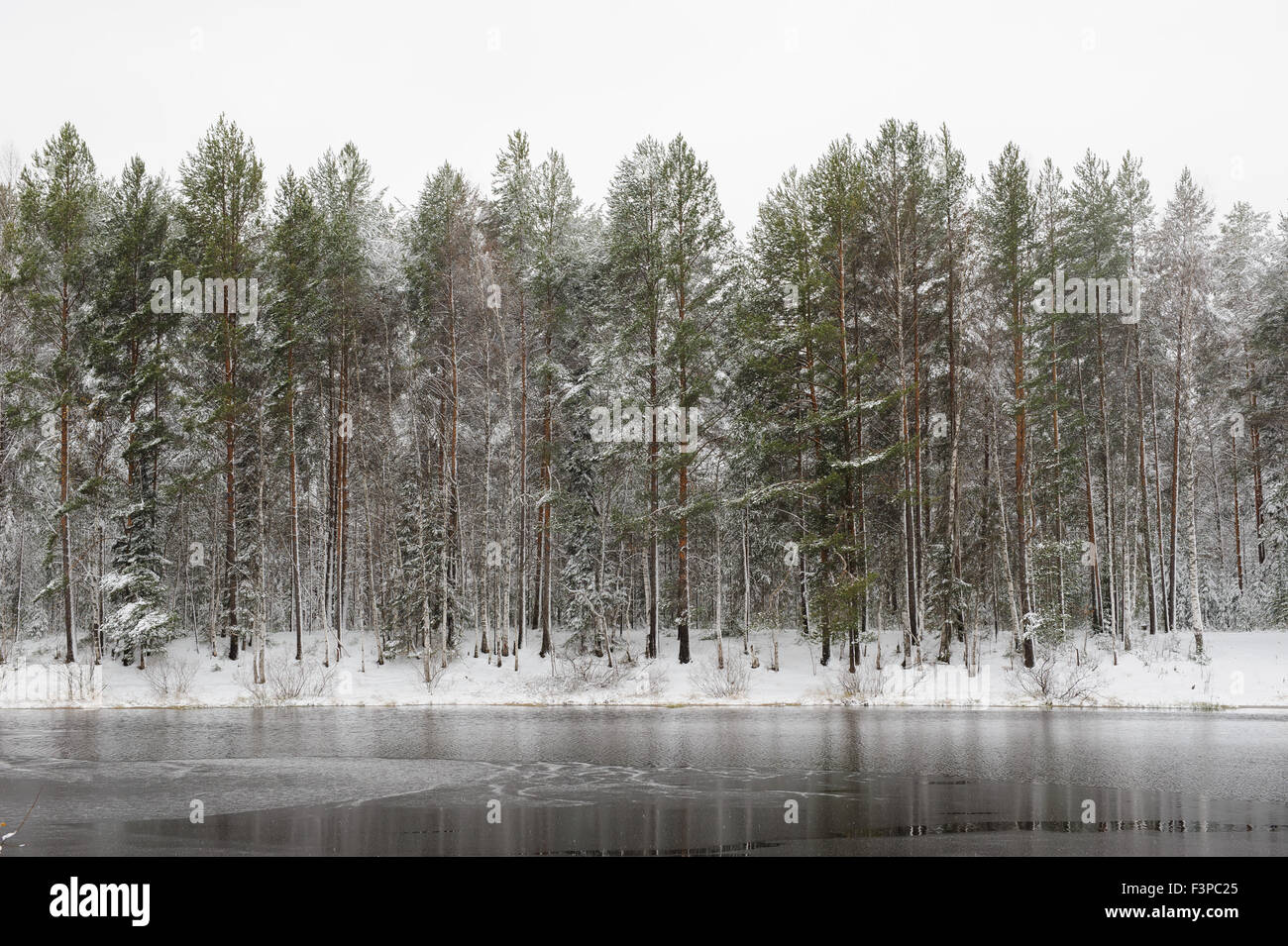 Lago di foresta in inizio di inverno Foto Stock