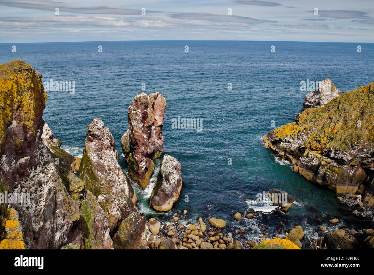 St Abbs; Scozia - UK Foto Stock