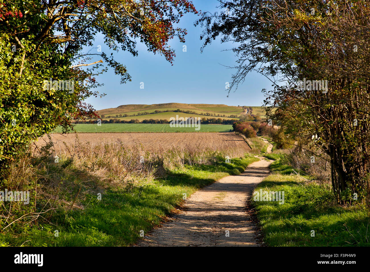 Ridgeway a piedi; Uffington Oxfordshire, Regno Unito Foto Stock
