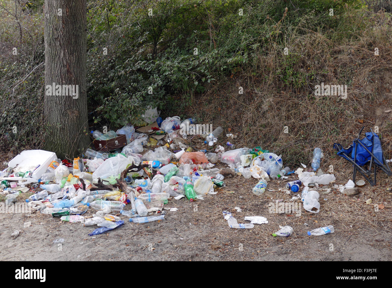 Scartato garbage in natura. Foto Stock