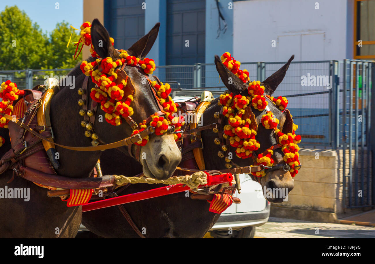 Cavalli graziosi con ornamenti colorati partecipare al famoso cavallo andaluso Fair andujar, Spagna Foto Stock