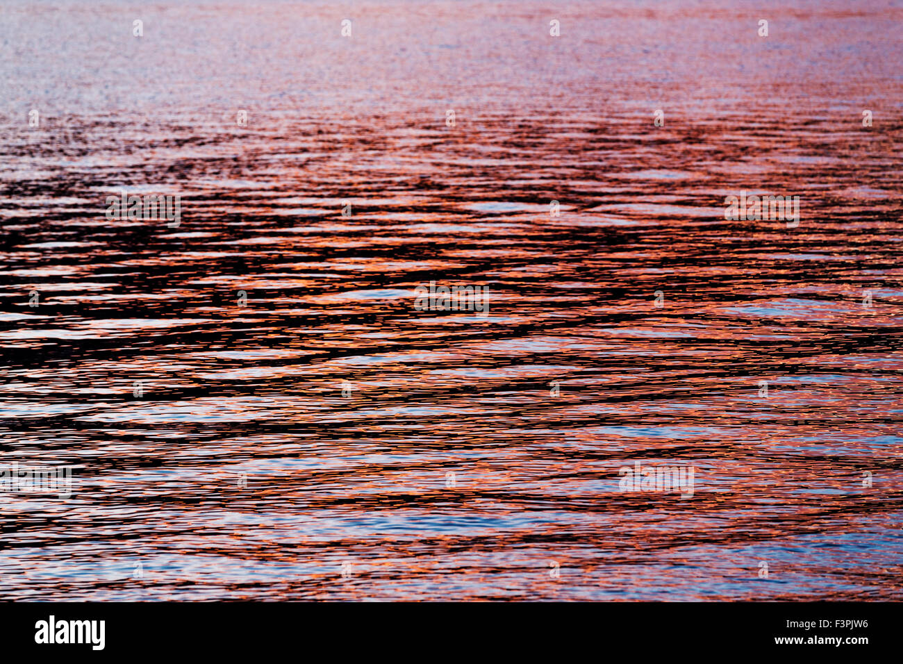 I colori del tramonto si riflettono nel lago Jackson; il Parco Nazionale del Grand Teton; Wyoming; USA Foto Stock