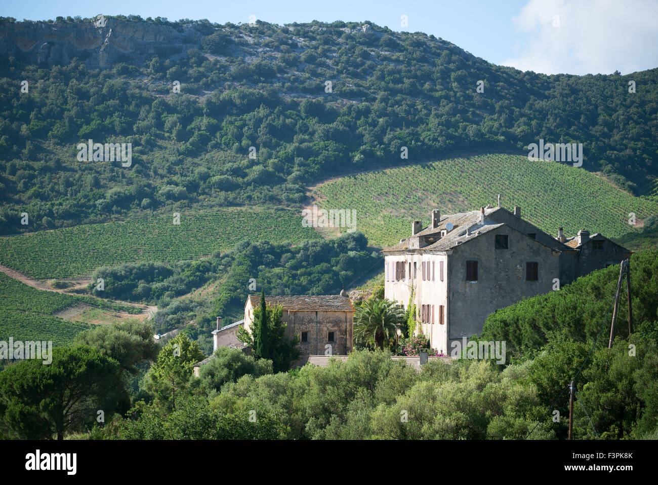 Un agriturismo tra vigneti, Patrimonio, Corsica Foto Stock
