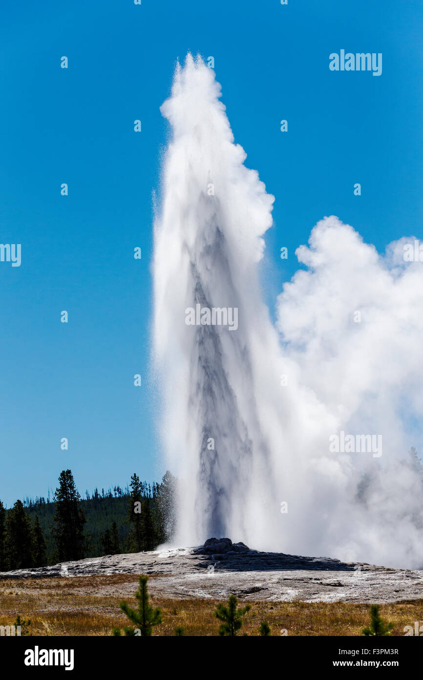 Vecchie fedeli; geyser; il Parco Nazionale di Yellowstone; Wyoming; USA Foto Stock