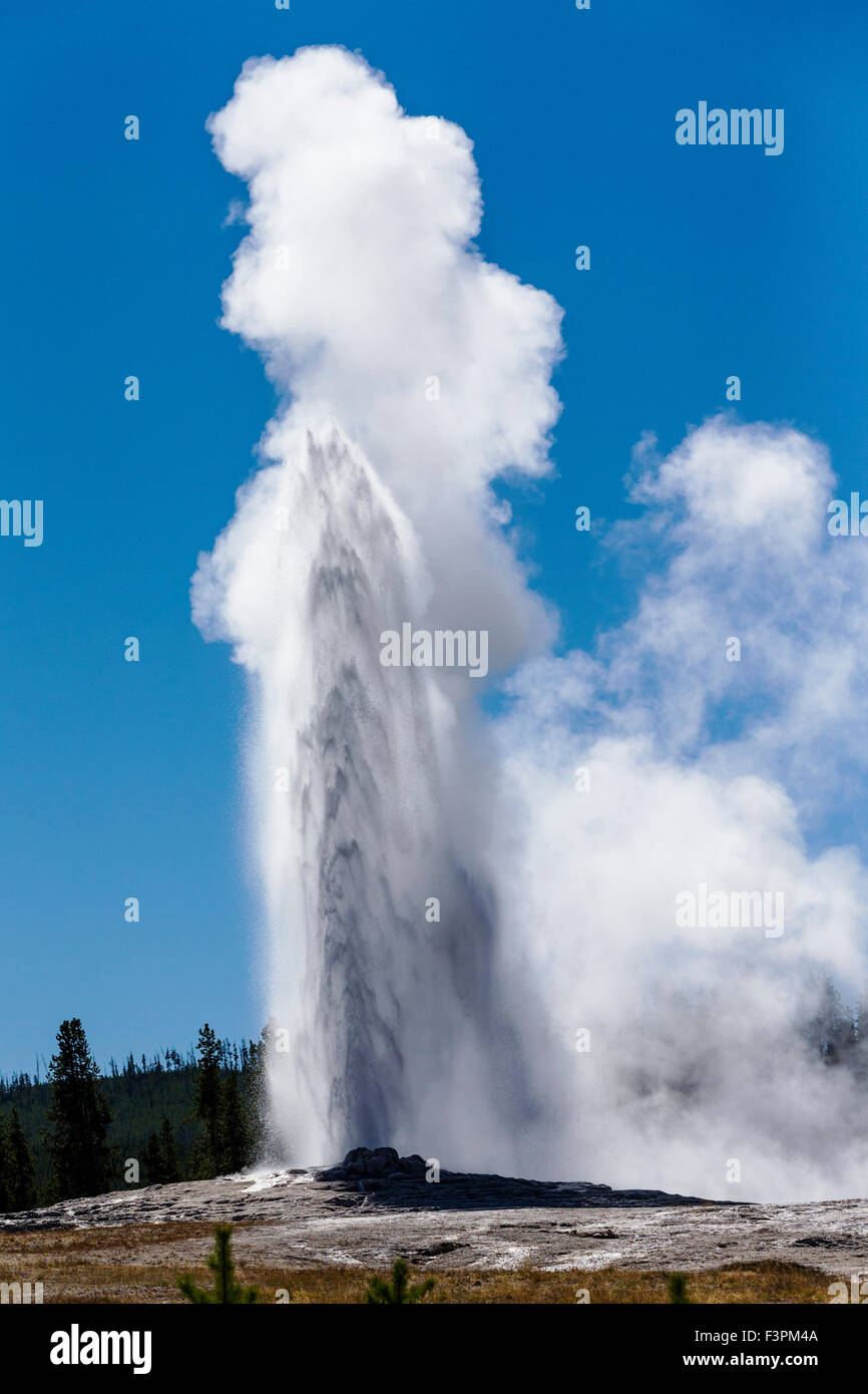 Vecchie fedeli; geyser; il Parco Nazionale di Yellowstone; Wyoming; USA Foto Stock