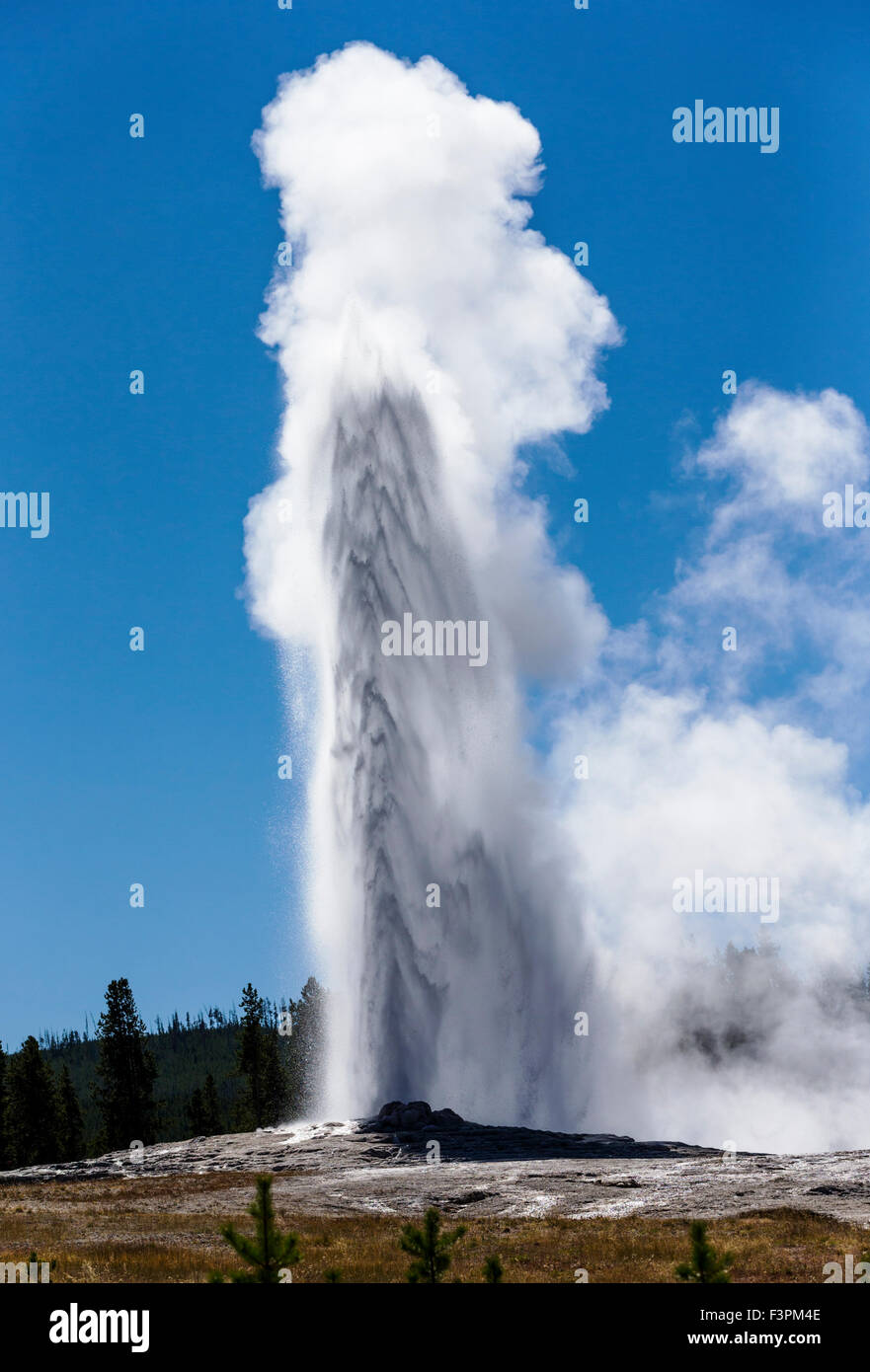 Vecchie fedeli; geyser; il Parco Nazionale di Yellowstone; Wyoming; USA Foto Stock