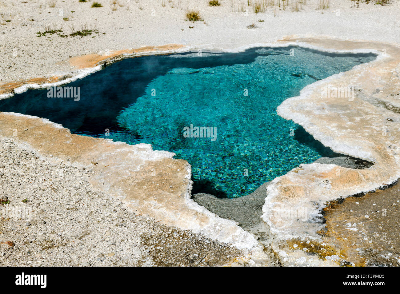 Blue Star primavera, nei pressi della vecchia fedele, il Parco Nazionale di Yellowstone, Wyoming USA Foto Stock