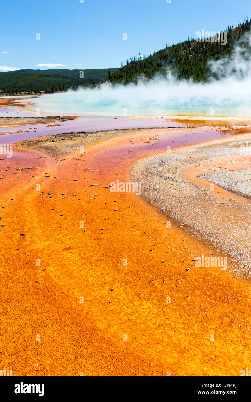 Grand Prismatic Spring; Midway Geyser Basin, il Parco Nazionale di Yellowstone, Wyoming USA Foto Stock
