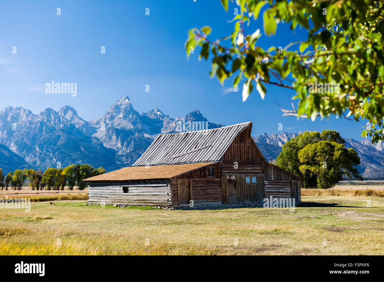 Thomas storico Alma & Lucille Moulton barn; Moulton Homestead (c 1910); Mormone fila distretto storico; il Parco Nazionale del Grand Teton Foto Stock