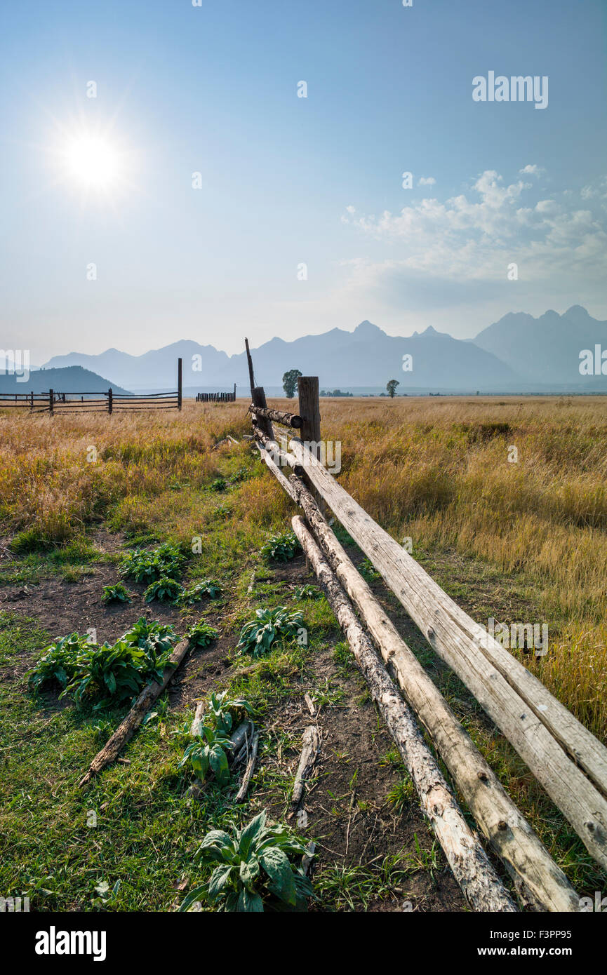 Stalle & recinzioni; John Moulton Homestead (c 1910); Mormone fila distretto storico; il Parco Nazionale del Grand Teton; Wyoming; USA Foto Stock