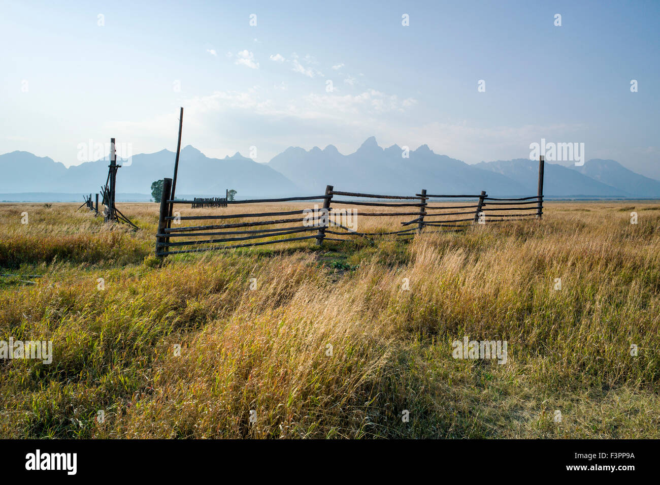 Stalle & recinzioni; John Moulton Homestead (c 1910); Mormone fila distretto storico; il Parco Nazionale del Grand Teton; Wyoming; USA Foto Stock