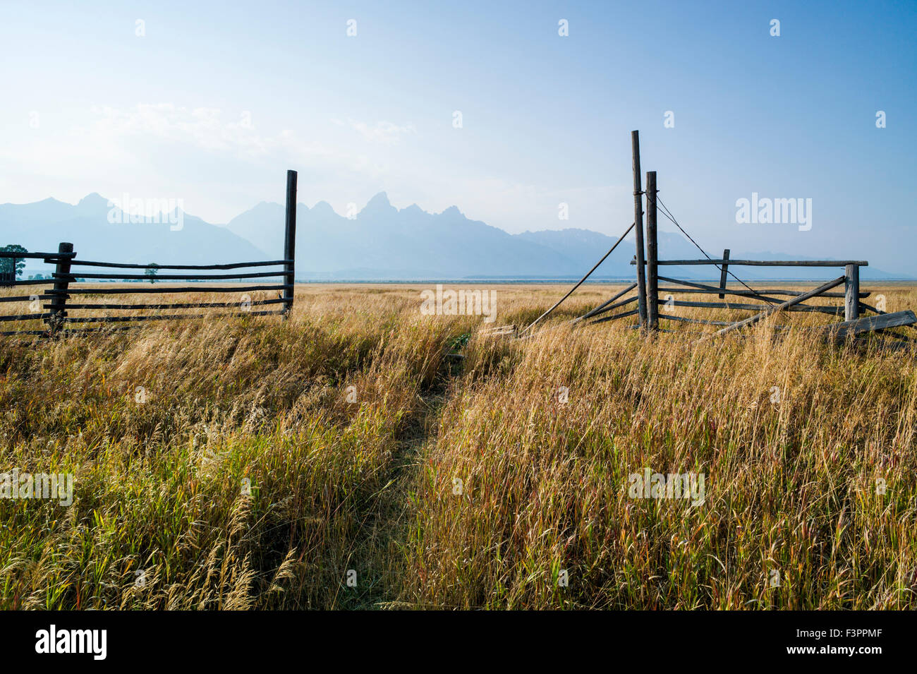 Stalle & recinzioni; John Moulton Homestead (c 1910); Mormone fila distretto storico; il Parco Nazionale del Grand Teton; Wyoming; USA Foto Stock