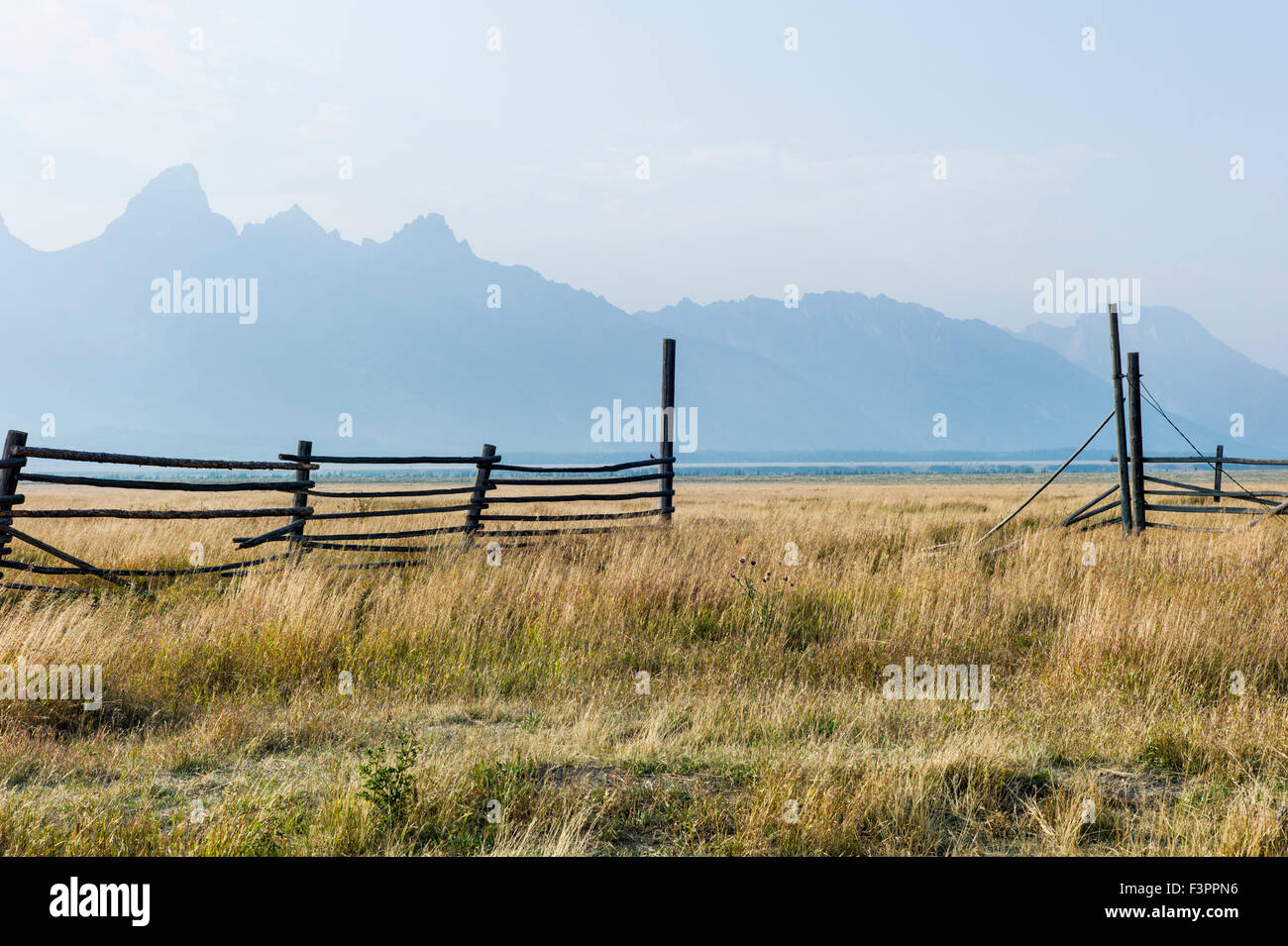 Stalle & recinzioni; John Moulton Homestead (c 1910); Mormone fila distretto storico; il Parco Nazionale del Grand Teton; Wyoming; USA Foto Stock