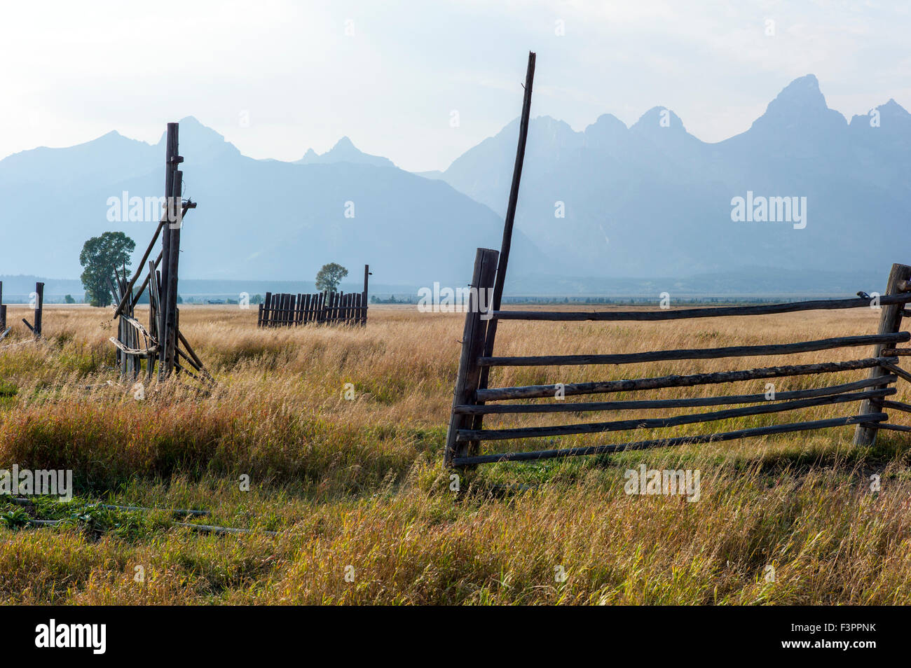 Stalle & recinzioni; John Moulton Homestead (c 1910); Mormone fila distretto storico; il Parco Nazionale del Grand Teton; Wyoming; USA Foto Stock