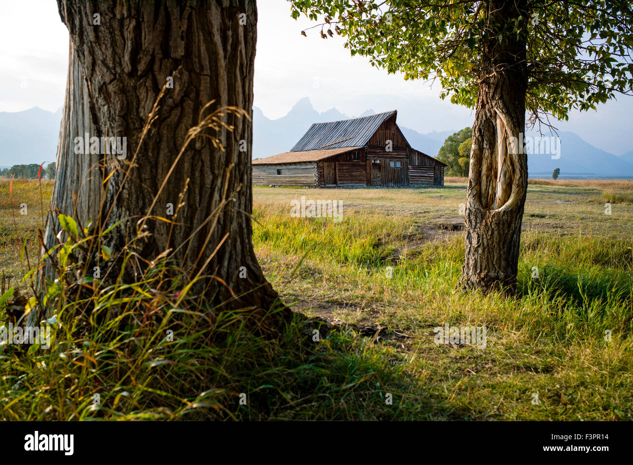 Thomas storico Alma & Lucille Moulton barn; Moulton Homestead (c 1910); Mormone fila distretto storico; il Parco Nazionale del Grand Teton Foto Stock
