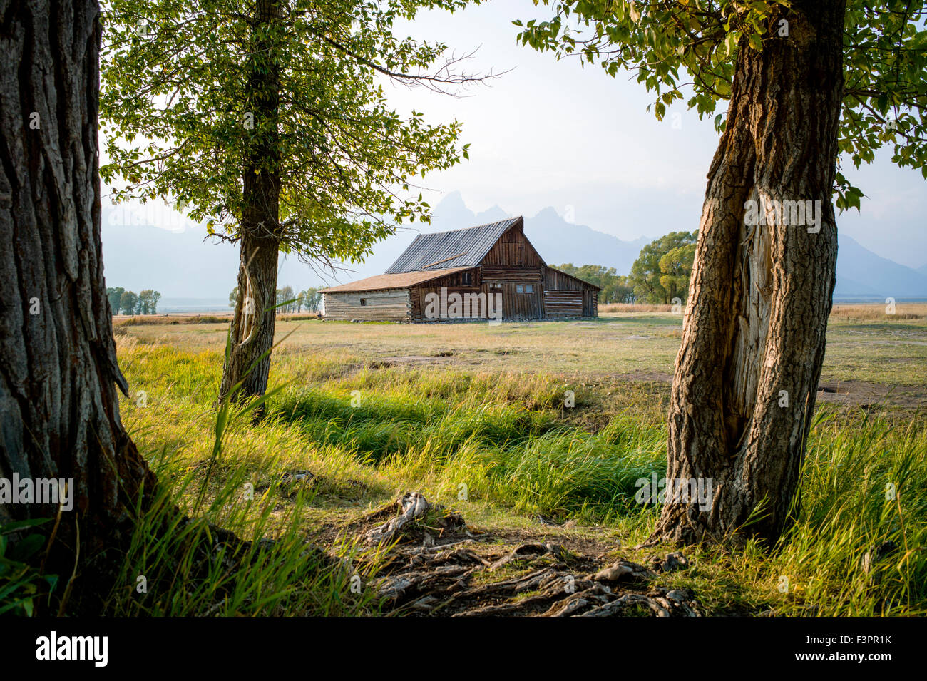 Thomas storico Alma & Lucille Moulton barn; Moulton Homestead (c 1910); Mormone fila distretto storico; il Parco Nazionale del Grand Teton Foto Stock