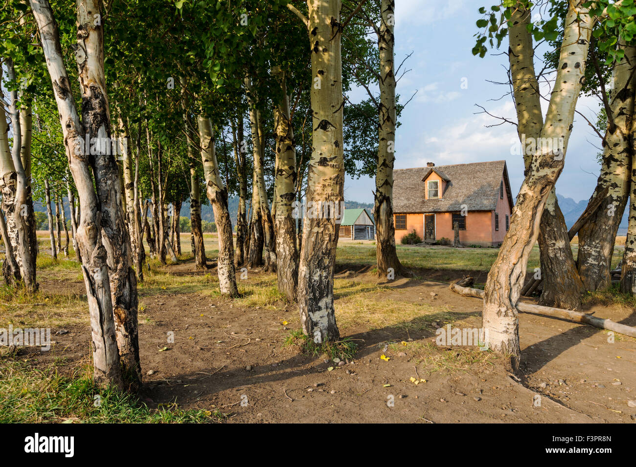 Storico di stucco rosa house; John Moulton Homestead (c 1910), Mormon fila distretto storico; il Parco Nazionale del Grand Teton; Wyoming Foto Stock