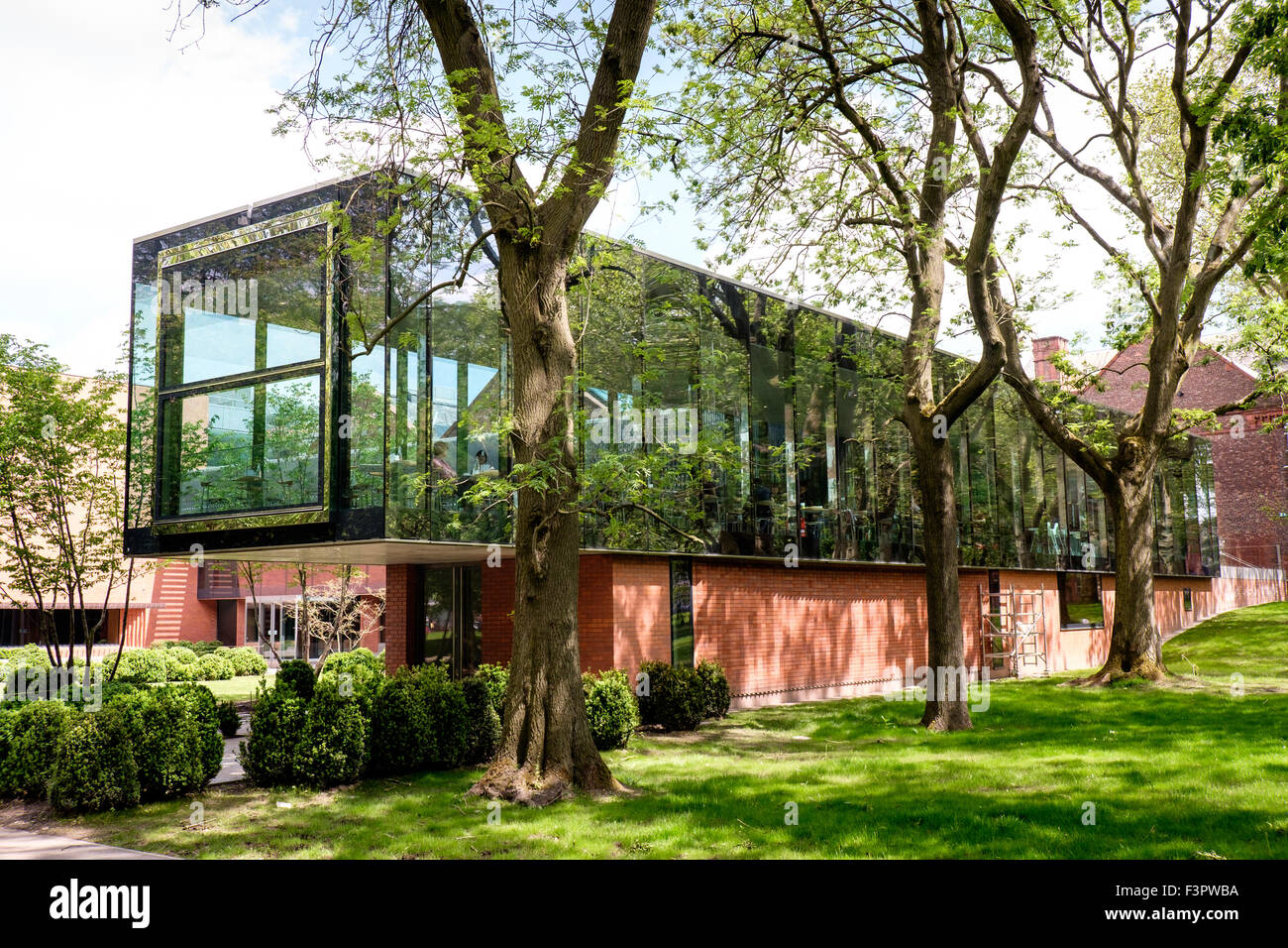 Cafe a Whitworth Art Gallery, Manchester, Regno Unito Foto Stock