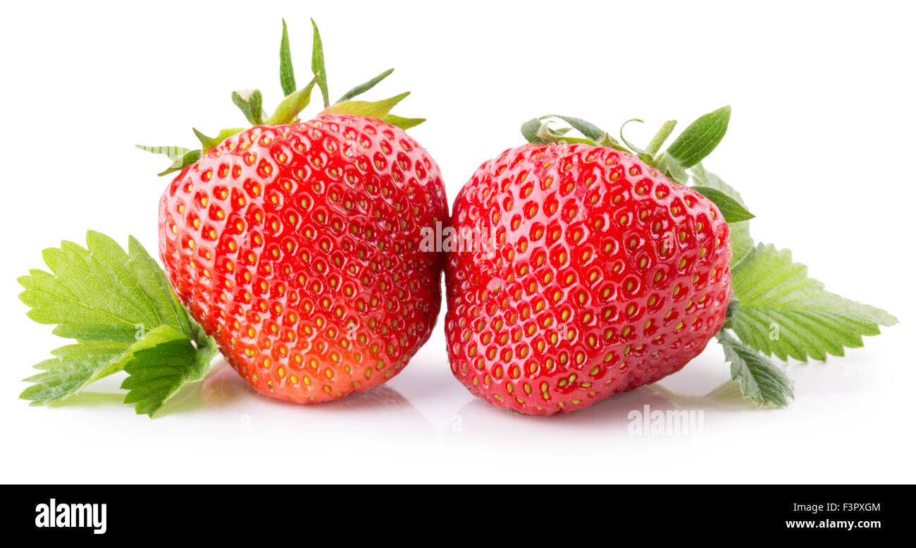 Le fragole isolato su uno sfondo bianco. Foto Stock