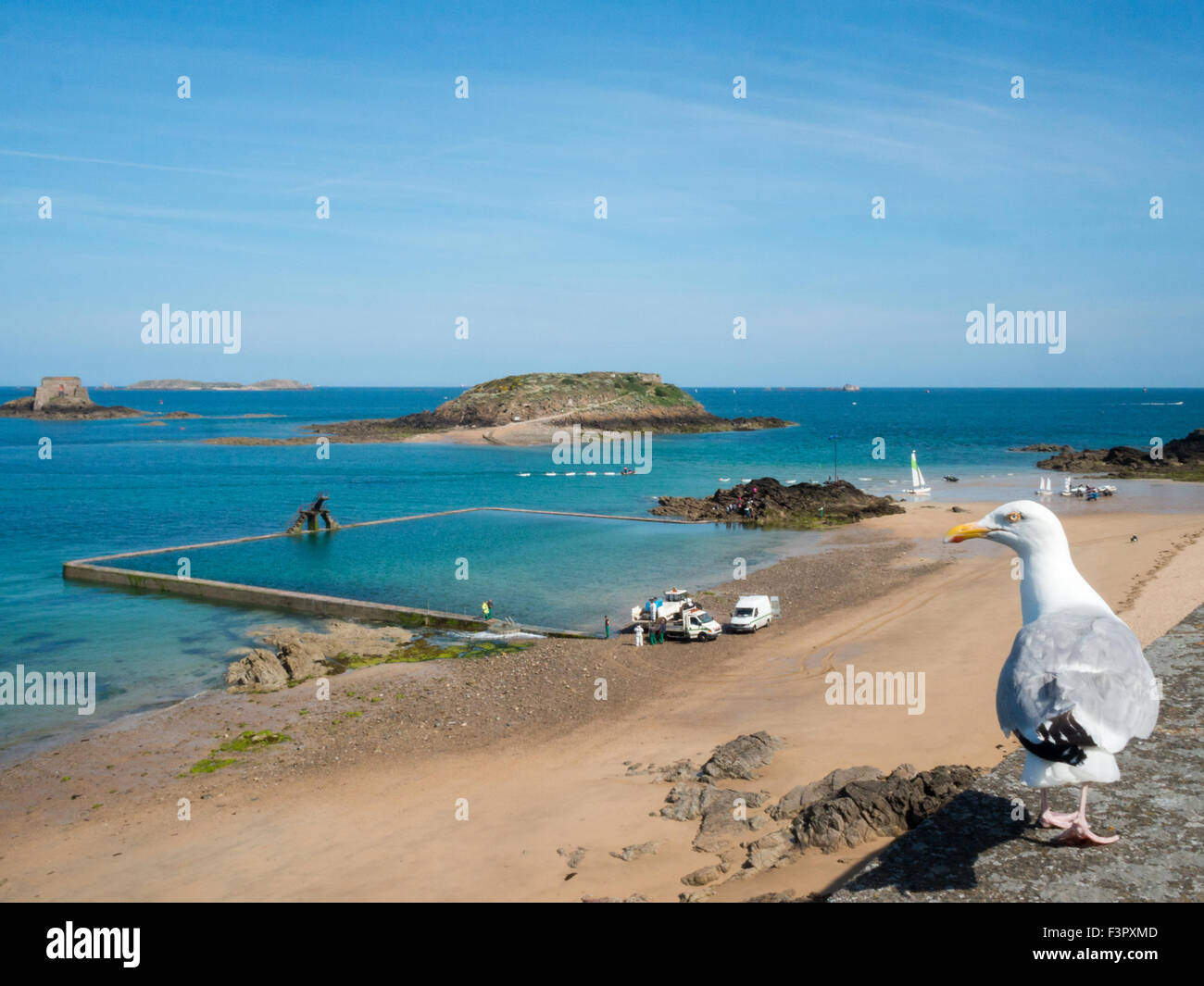 Grand Bé e Petit Bé isole a bassa marea dietro la Plage du Mole ocean pool con seagull in primo piano Foto Stock