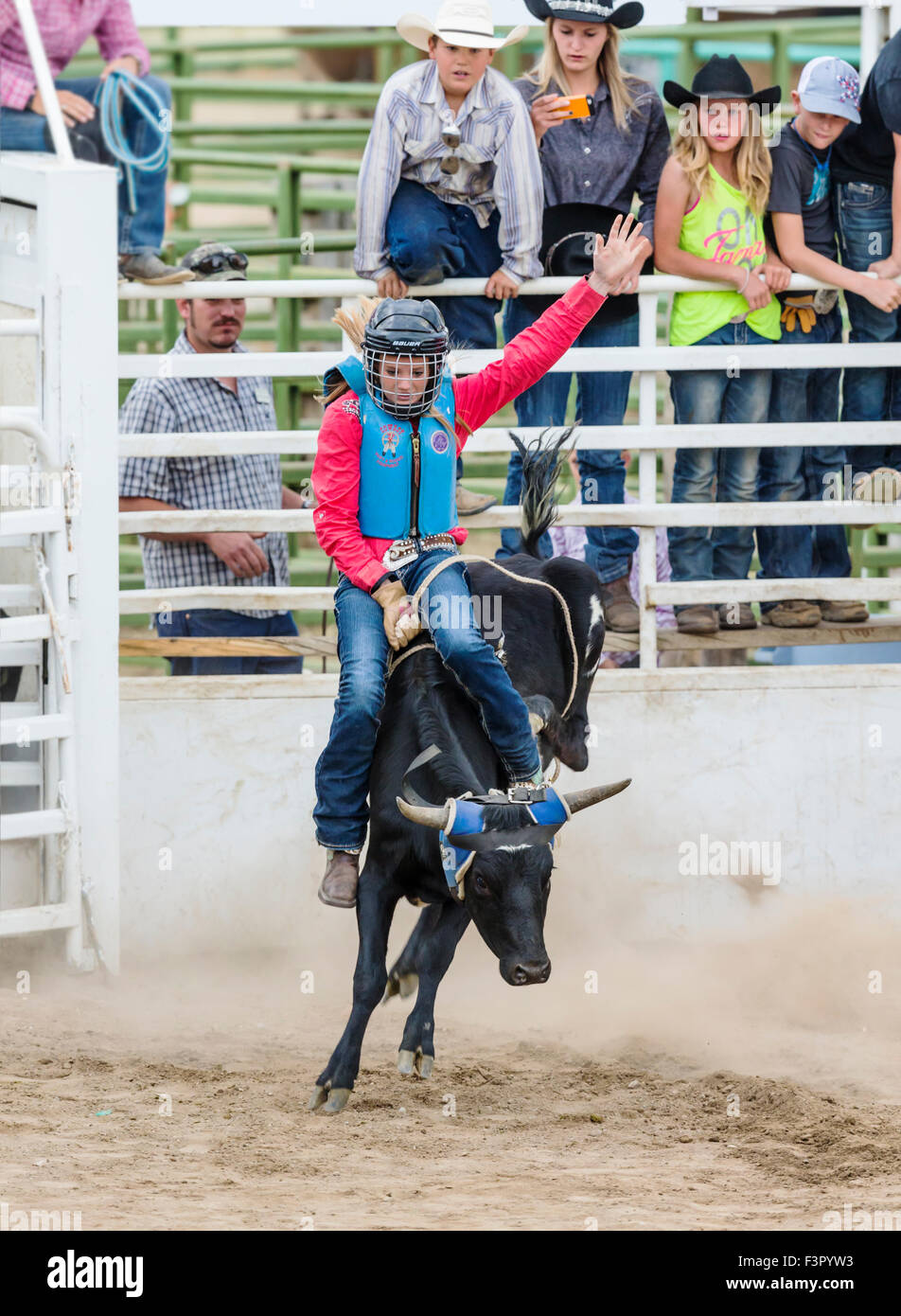 Giovani cowboy cadendo da un piccolo sterzare nella Junior Steer concorso di equitazione, Chaffee County Fair & Rodeo, Salida, Colorado Foto Stock