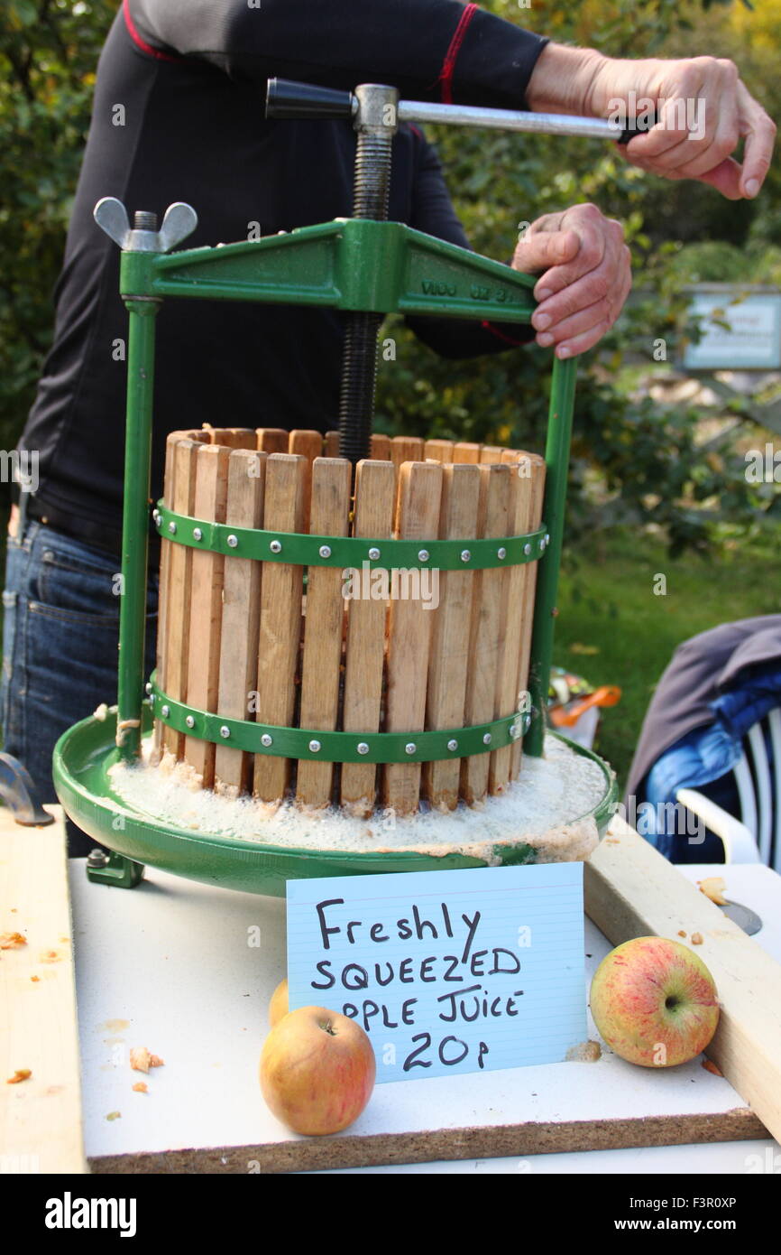 Un uomo utilizza presse mele raccolte da giardini presso un Apple Day festival in Sheffield South Yorkshire, Inghilterra, Regno Unito - Ottobre Foto Stock