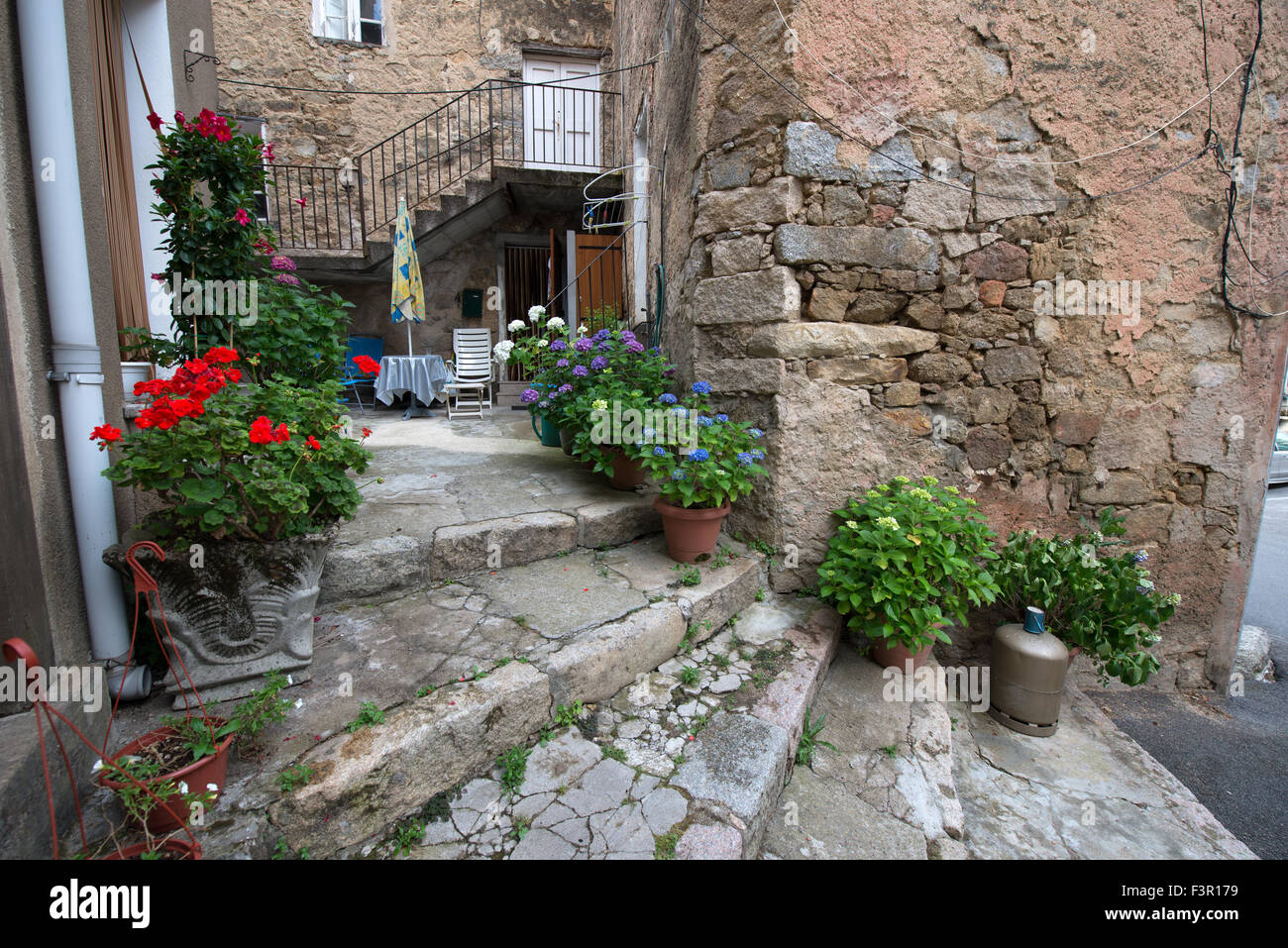 Vasi di fiori sui gradini di una strada ripida a Vico, Corsica, Francia Foto Stock