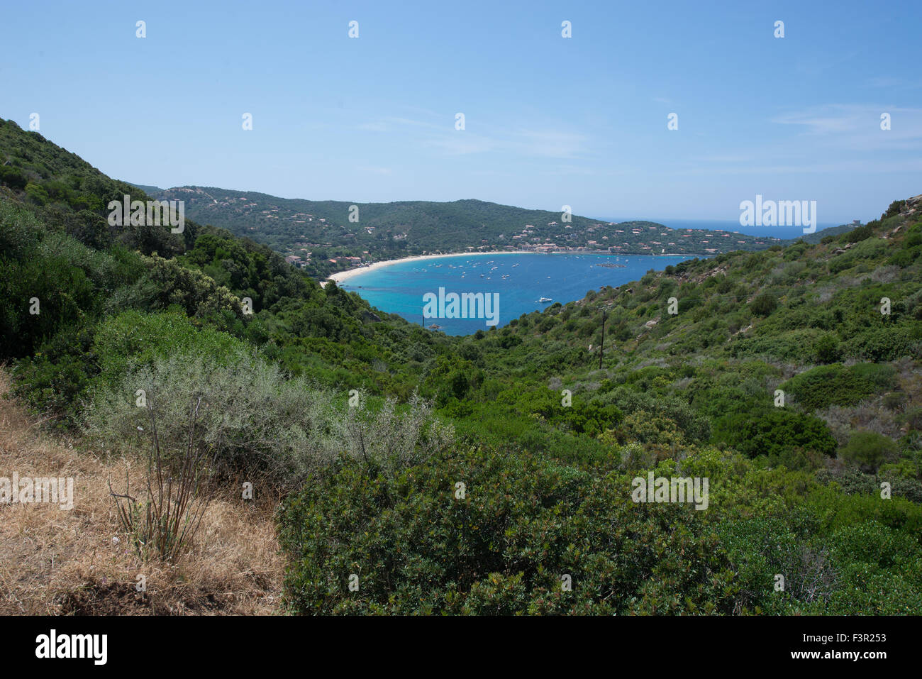 Campomoro baia vista dalle colline, Corsica, Francia Foto Stock