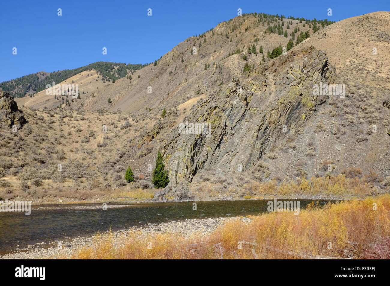 Salmon River in Idaho Foto Stock