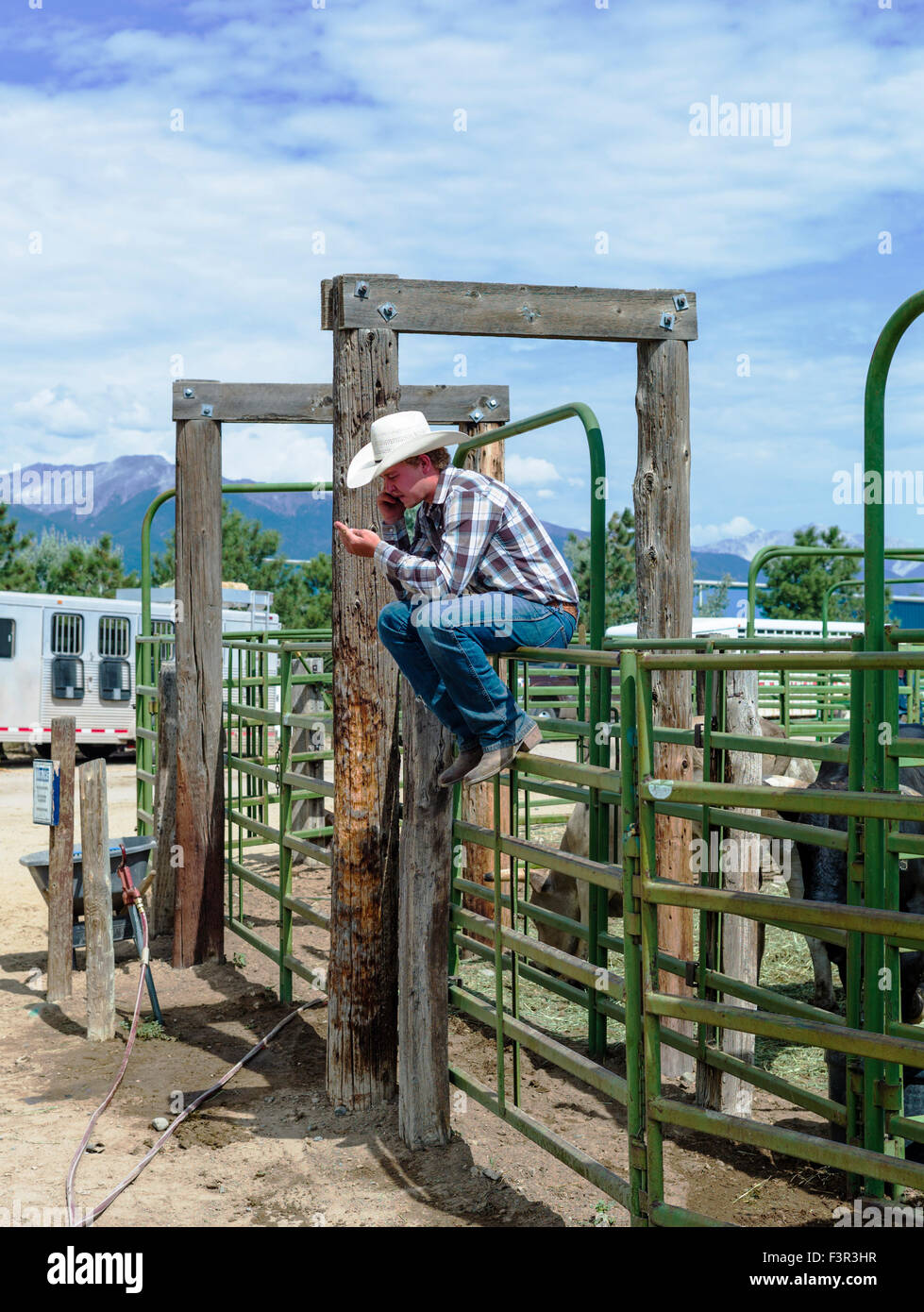 Cowboy sulla recinzione utilizzando un telefono cellulare, Chaffee County Fair & Rodeo, Salida, Colorado, STATI UNITI D'AMERICA Foto Stock