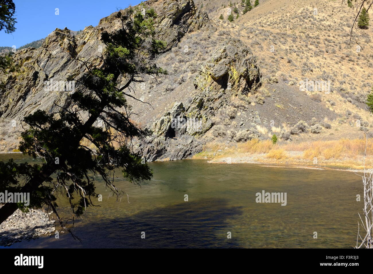 Salmon River in Idaho Foto Stock