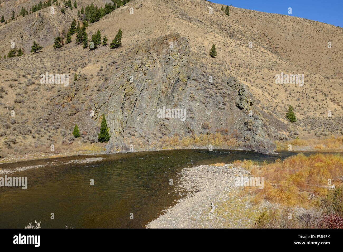 Salmon River in Idaho Foto Stock