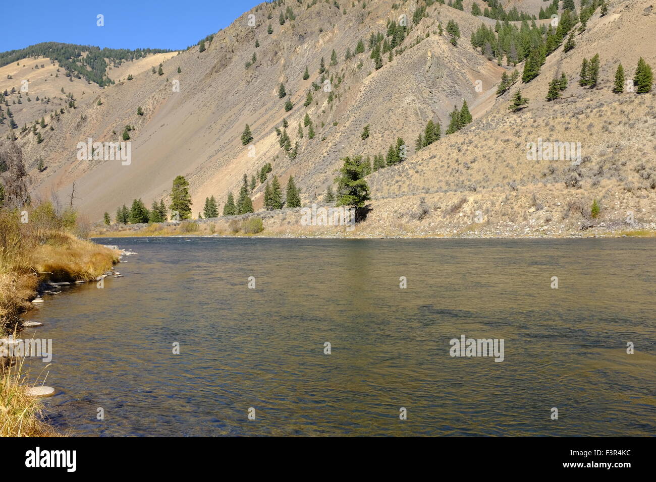 Salmon River in Idaho Foto Stock