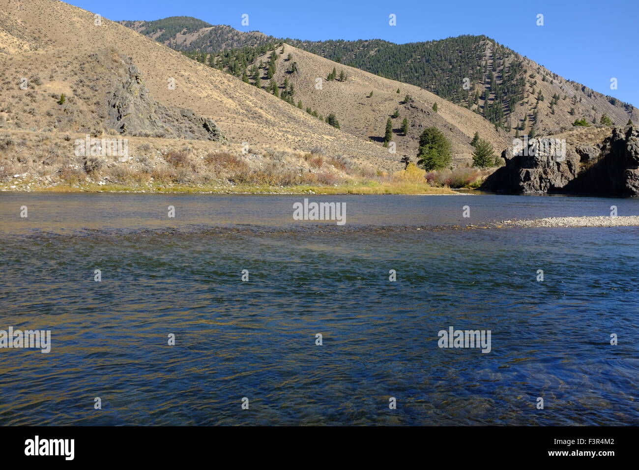 Salmon River in Idaho Foto Stock