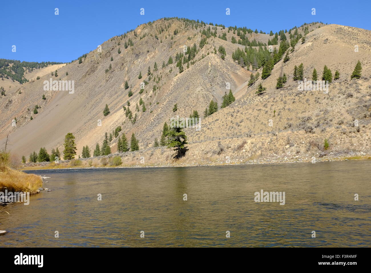 Salmon River in Idaho Foto Stock