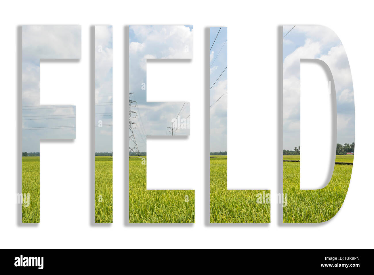 Energia elettrica ad alta tensione post di potenza nel campo di risone Foto Stock