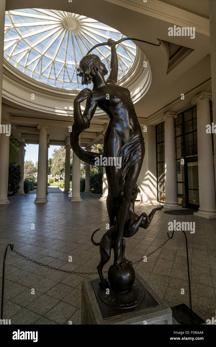 Le spine dal bianco seta filo interdentale Tree, la Biblioteca di Huntington, San Marino, CA, U.S.A. Foto Stock