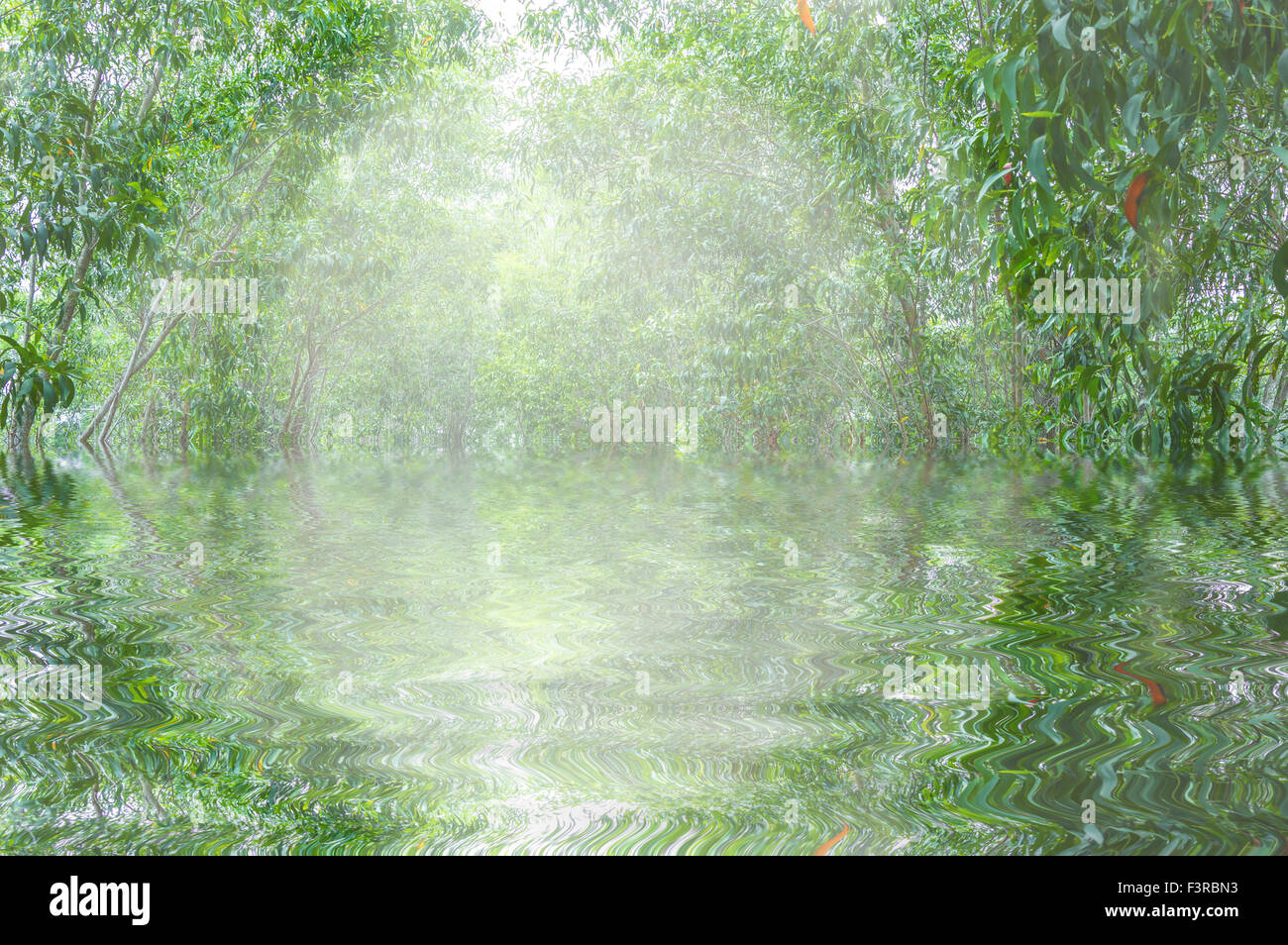 Pista da jogging con il silenzio e la pace ambiente Foto Stock