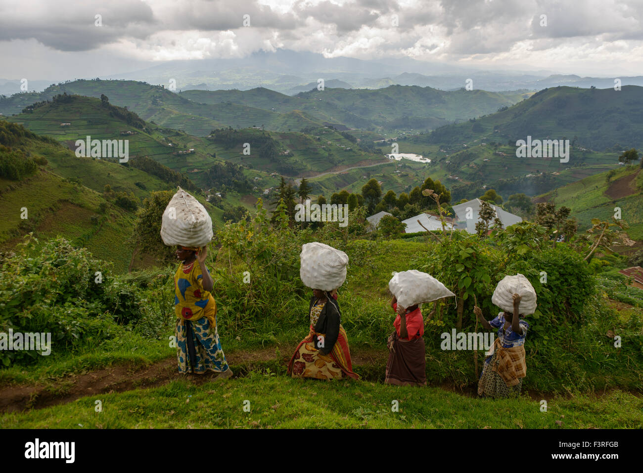 Le donne che trasportano sacchi di patate, Uganda, Africa Foto Stock