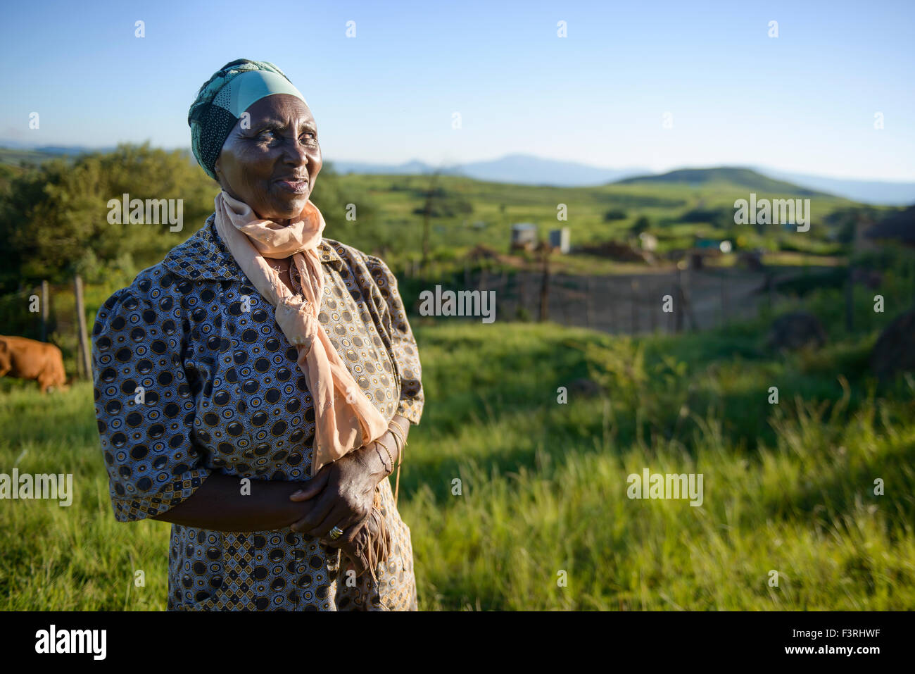 Donna anziana della tribù Zulu, KwaZulu Natal Provincia, Sud Africa Foto Stock