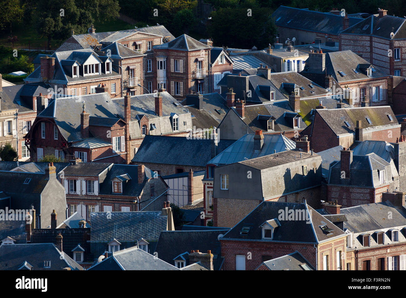 Vista di Etretat, Cote d'alabastro, Pays de caux, dipartimento Seine-Maritime, Superiore regione della Normandia, Francia Foto Stock