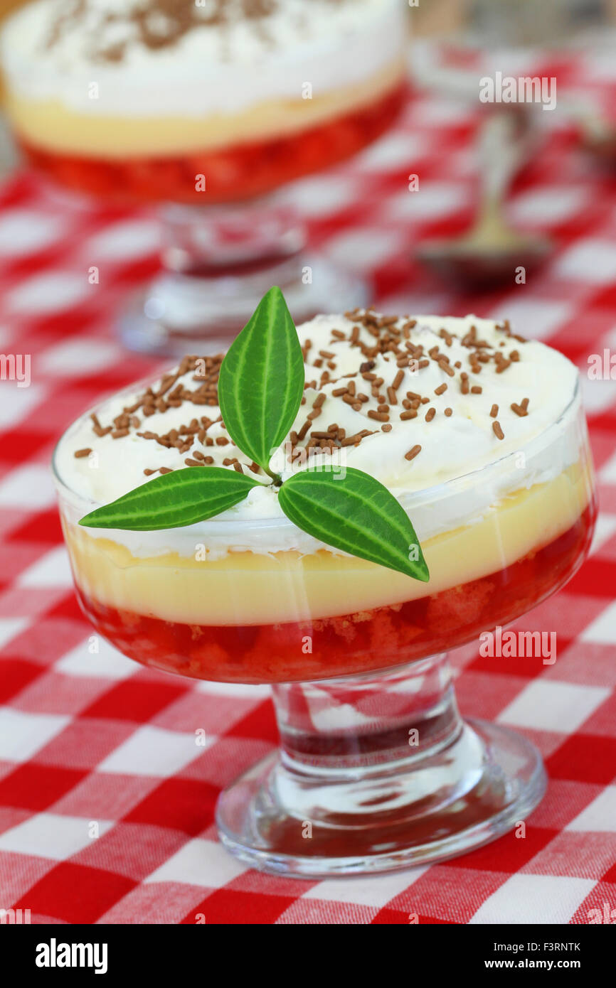 Tradizionale zuppa inglese dessert su rosso e bianco di panno a scacchi Foto Stock