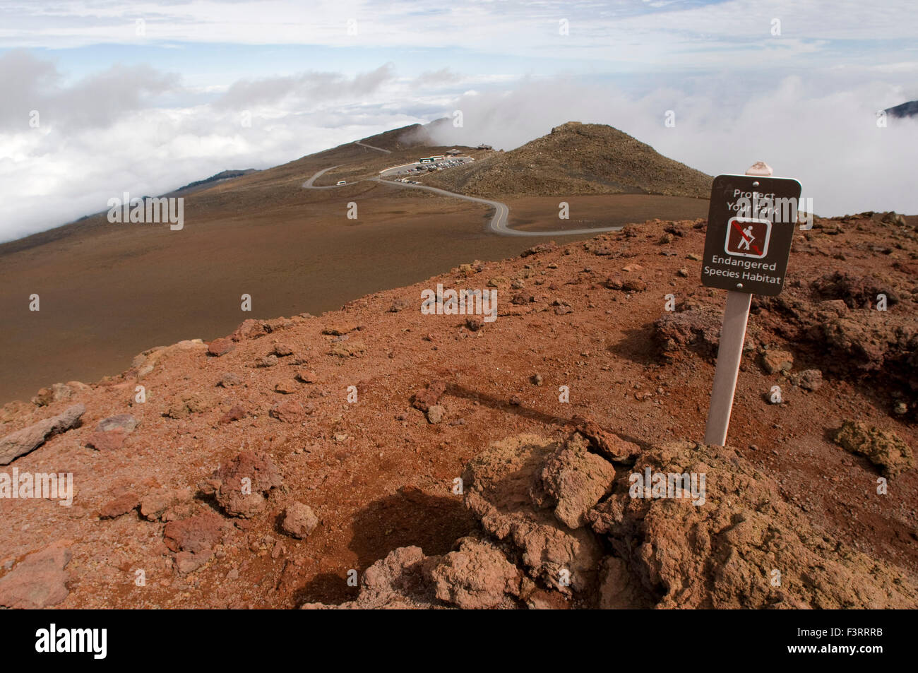Vertice della PUU Ulaula. Maui. Hawaii. Vertice della PUU Ulaula con partenza diversi trekings piedi o a cavallo a scendere a 900 metri Foto Stock