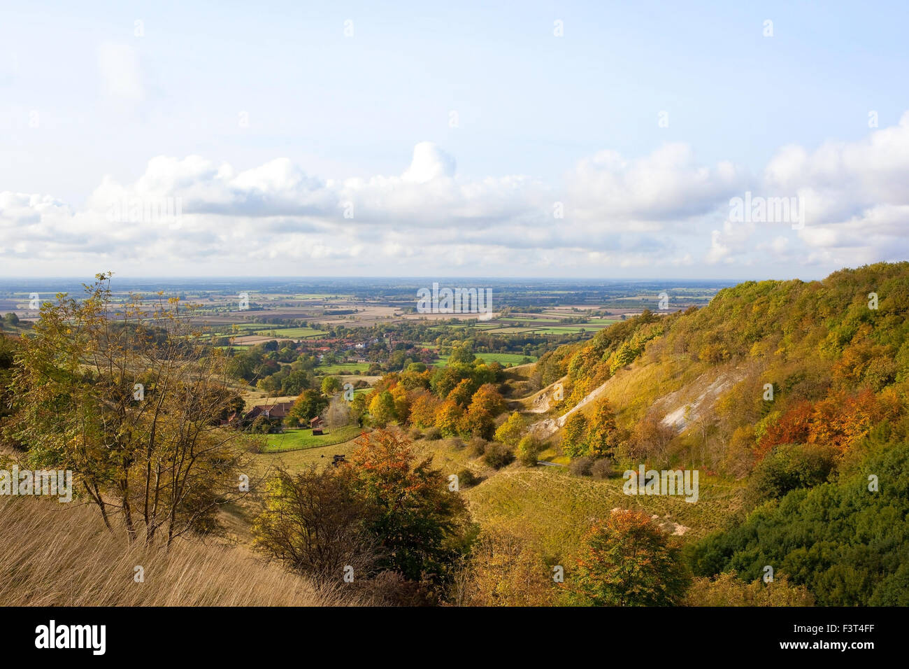 Paesaggio autunnale guardando verso la valle di York dal di sopra della panoramica valle di Thixendale sul Yorkshire wolds in ottobre. Foto Stock