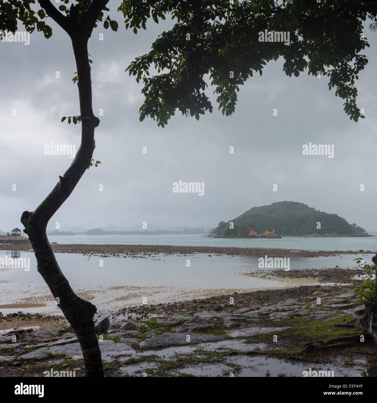 Durante la mattina presto tempesta. Foto Stock