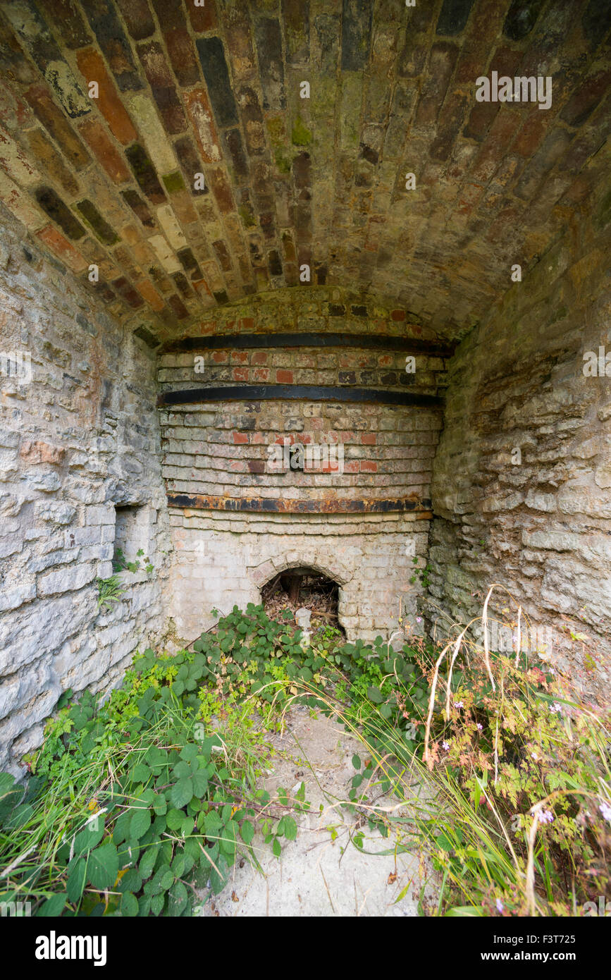 Tunnel con soffitto a volta e tracciare il foro di una cava di Knowle fornace di calce sulla Wenlock Edge, Shropshire. Foto Stock