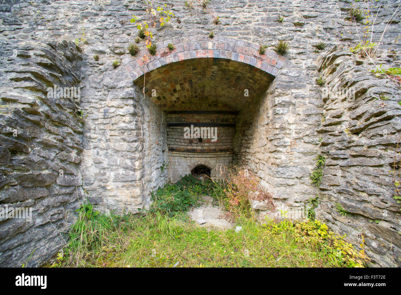 Tunnel con soffitto a volta e tracciare il foro di una cava di Knowle fornace di calce sulla Wenlock Edge, Shropshire. Foto Stock