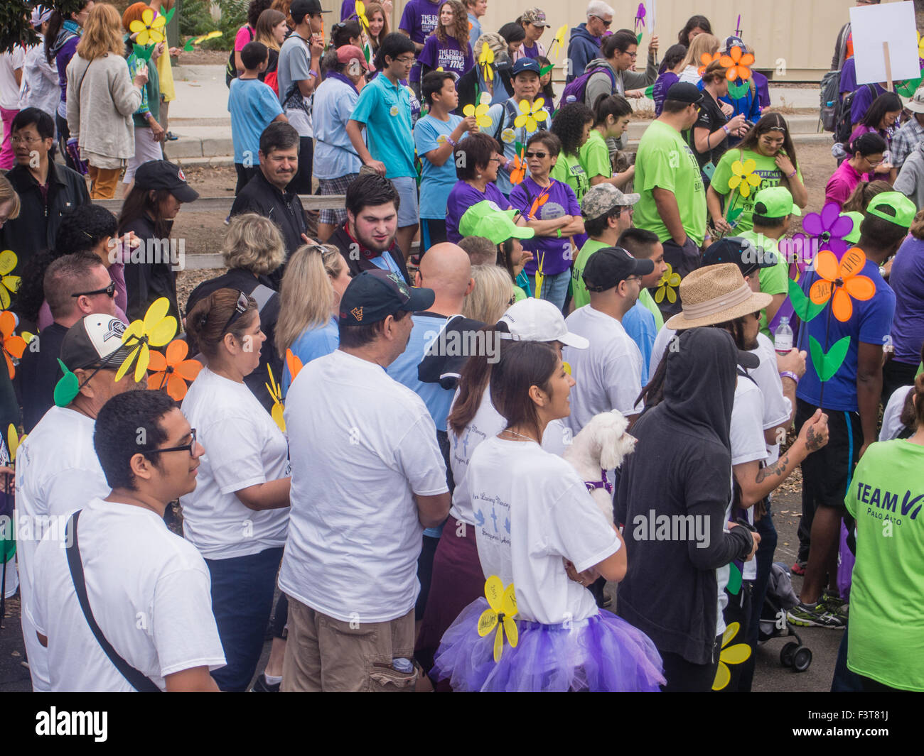 SAN JOSE, CA/USA - Ottobre 10, 2015: San Jose a piedi alla fine il morbo di Alzheimer è una parte del più grande evento mondiale di sensibilizzazione e di Foto Stock